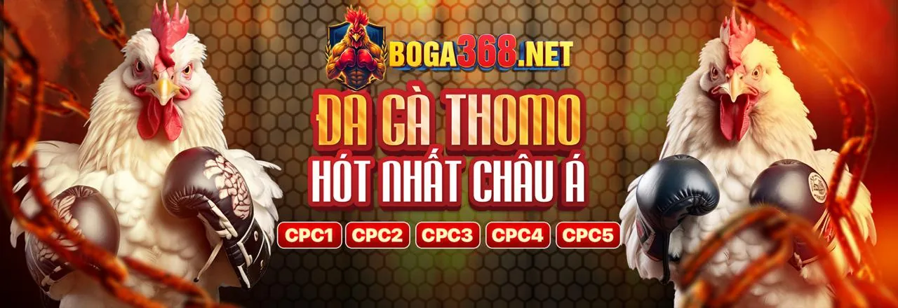 Hình ảnh chính Kwin Blog