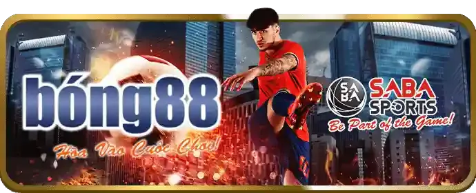Tích lũy điểm và thăng cấp VIP